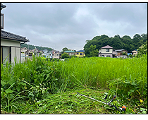 現地写真