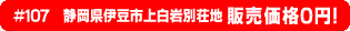 #107 静岡県伊豆市上白岩別荘地0円物件！
