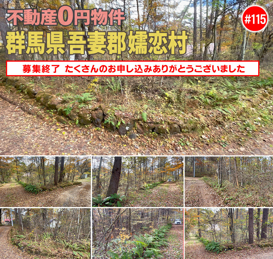 #115 群馬県吾妻郡嬬恋村不動産不動産0円物件
