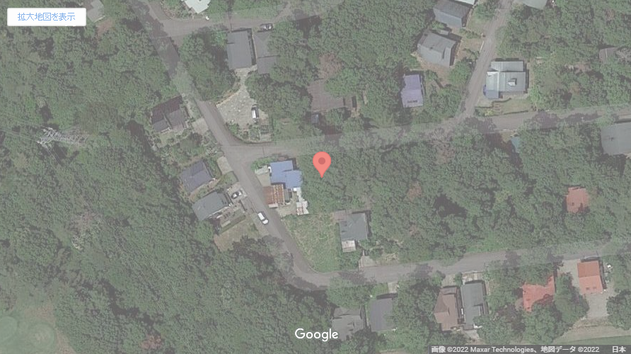 現地地図
