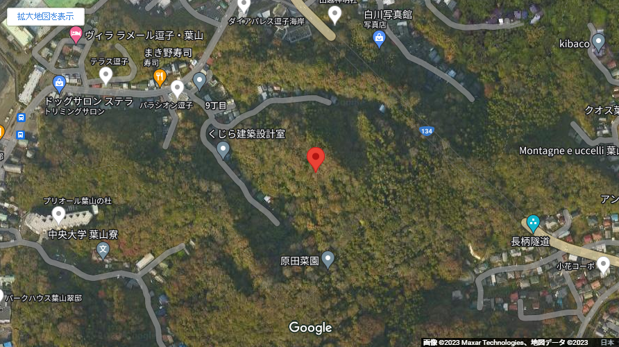 現地地図