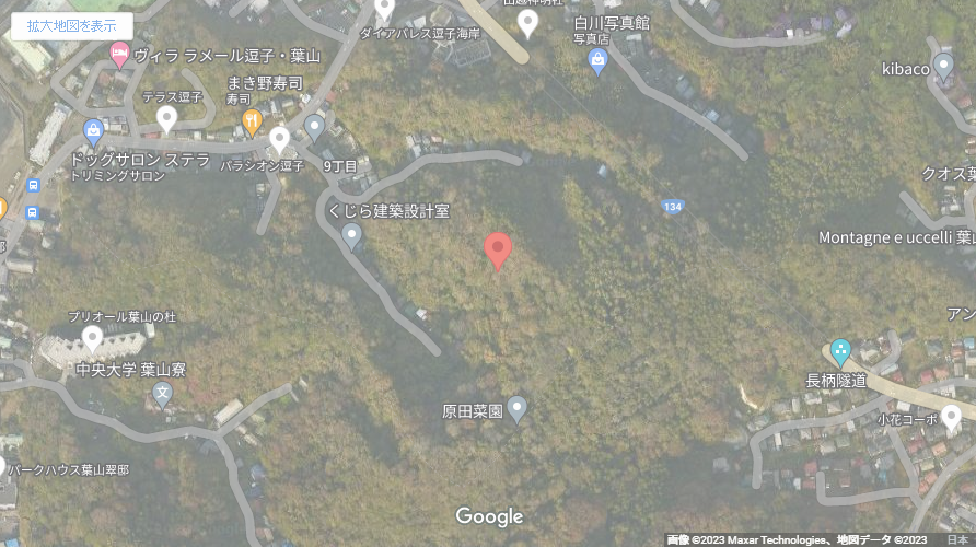 現地地図