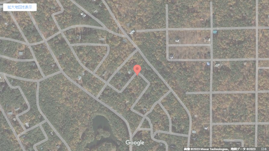 現地地図