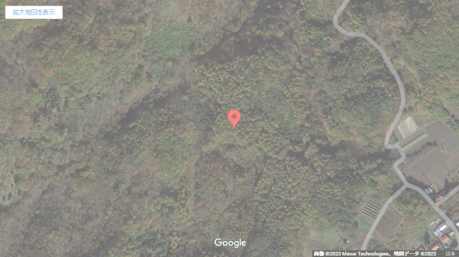 現地地図