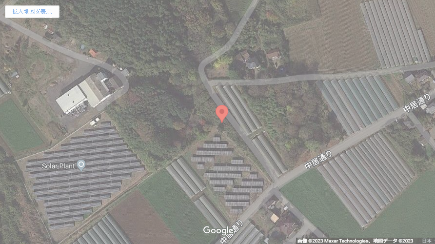 現地地図