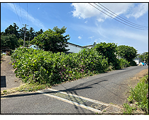 現地写真