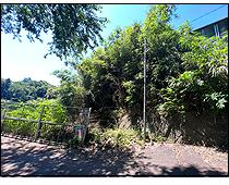 現地写真