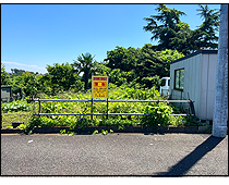 現地写真
