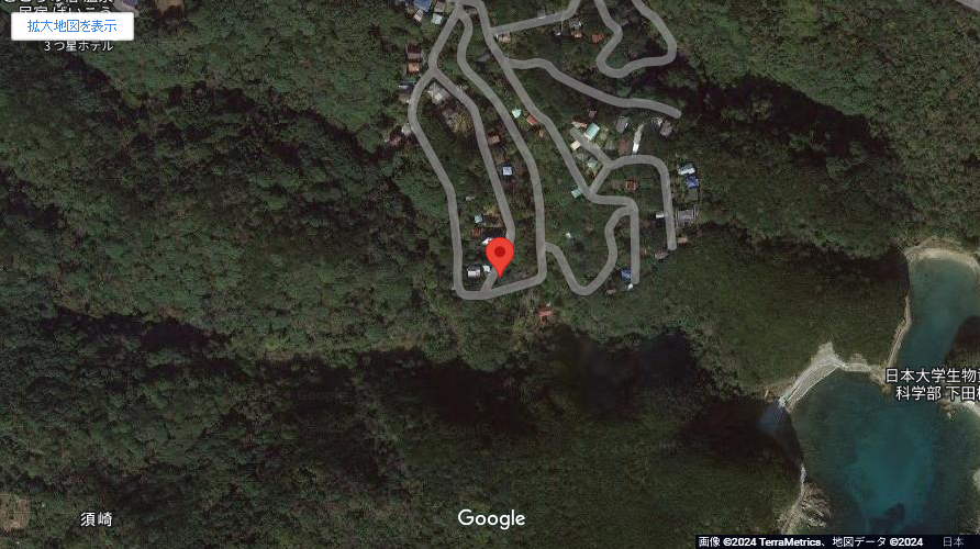 現地地図