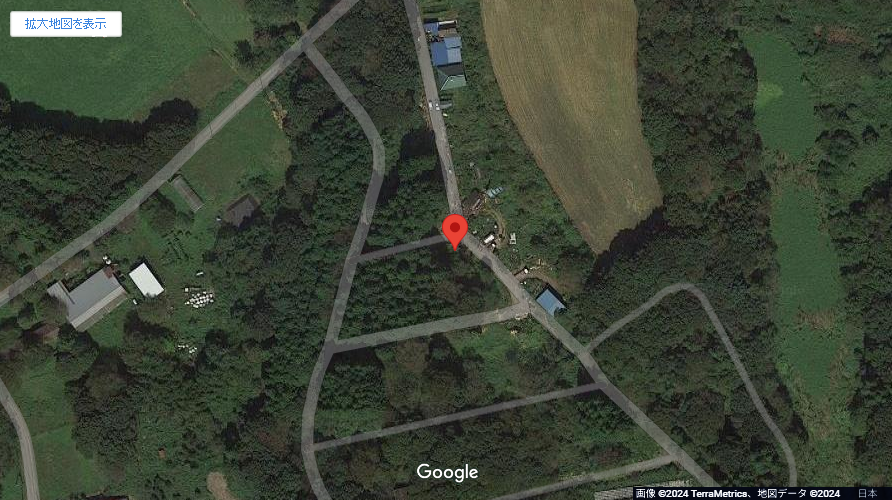 現地地図