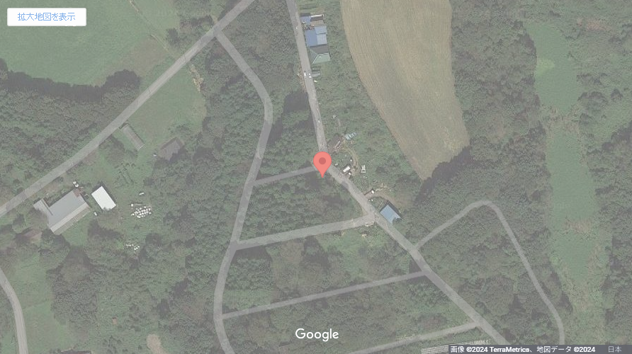 現地地図