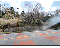 現地写真
