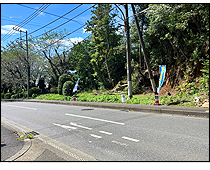 現地写真