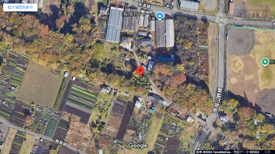 現地地図