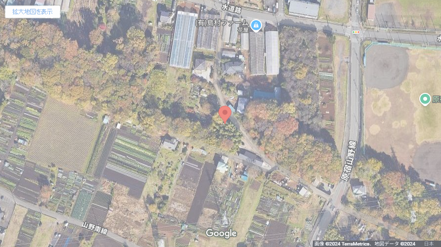 現地地図