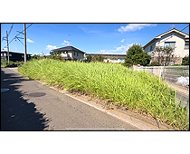 現地写真