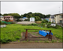 現地写真