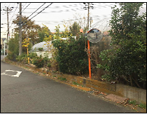 現地写真