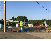 現地写真