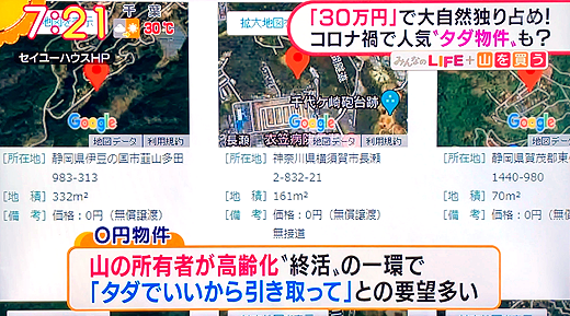 放映画像