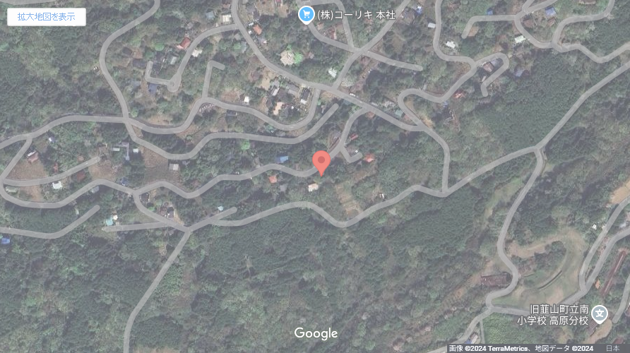 現地地図