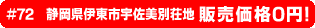 #72 静岡県伊東市宇佐美別荘地 販売価格0円！