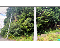 現地写真