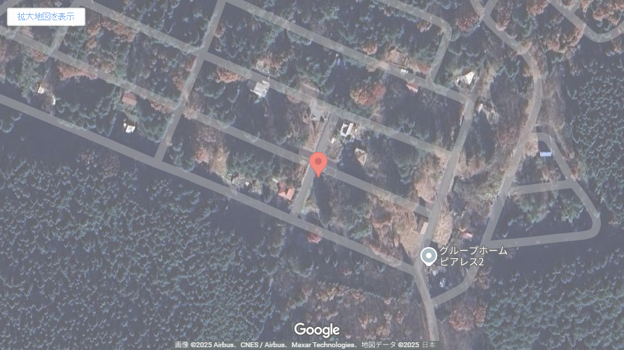 現地地図