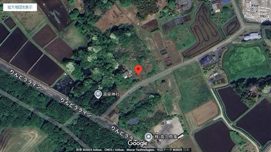 現地地図