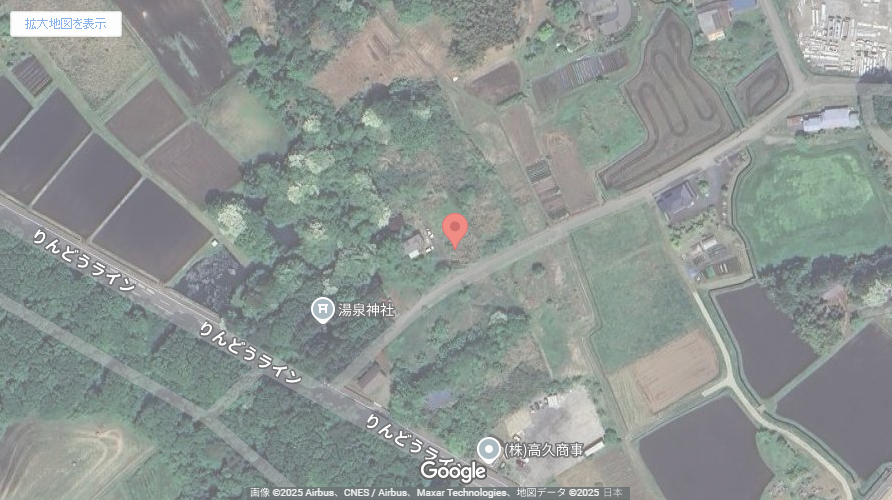 現地地図