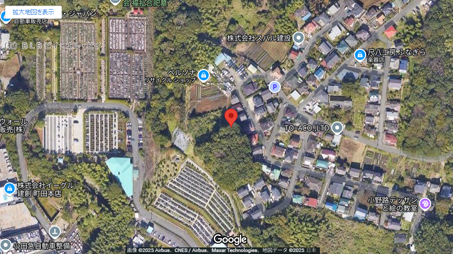 現地地図