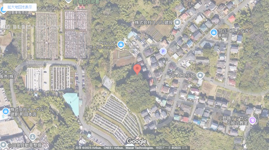 現地地図