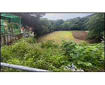 現地写真