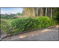 現地写真