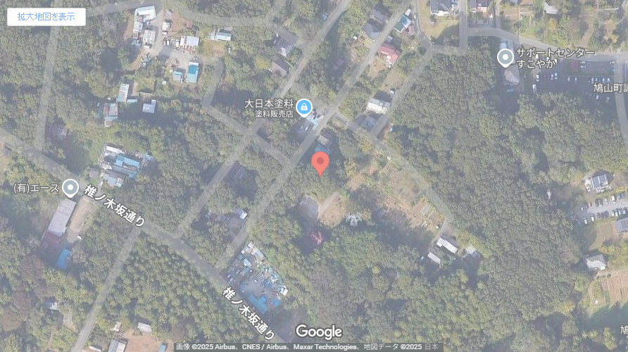 現地地図