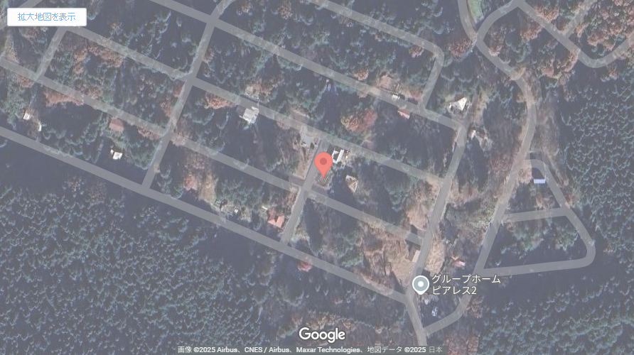 現地地図