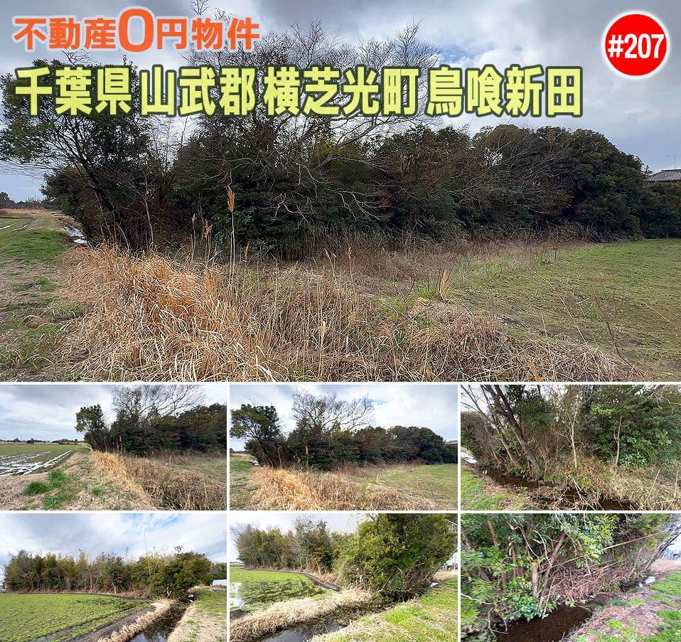 #207 千葉県山武郡横芝光町鳥喰新田不動産0円物件