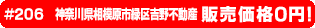#206 神奈川県相模原市緑区吉野不動産