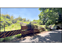 現地写真