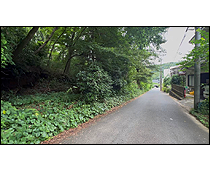 現地写真