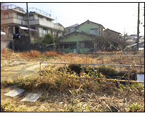 現地写真